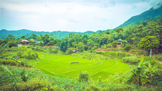 MAI CHAU STILT HOUSE